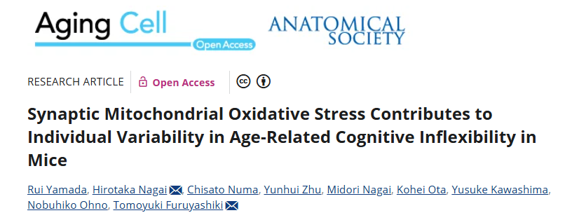 Age-related cognitive variability paper in Aging Cell